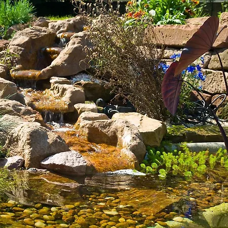 Alte Foersterei Oberzent